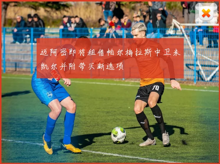 迈阿密即将租借帕尔梅拉斯中卫米凯尔并附带买断选项