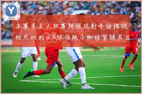 本赛季五大联赛阿根廷射手榜揭晓帕尼切利以8球领跑小蜘蛛紧随其后
