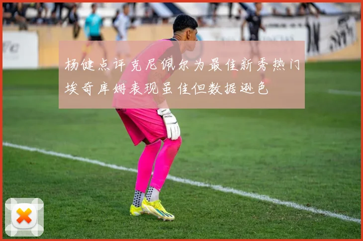 杨健点评克尼佩尔为最佳新秀热门埃奇库姆表现虽佳但数据逊色