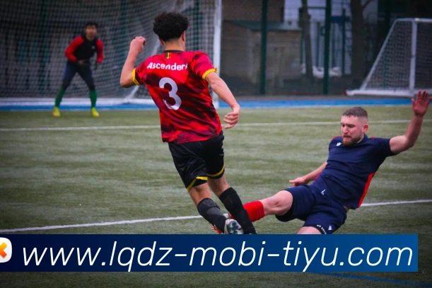 篮球赌注平台生态图