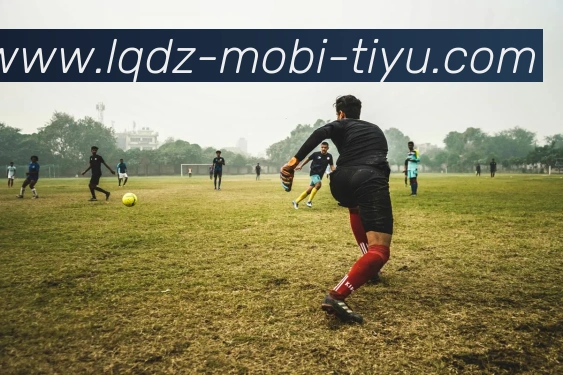 篮球赌注APP 封面图